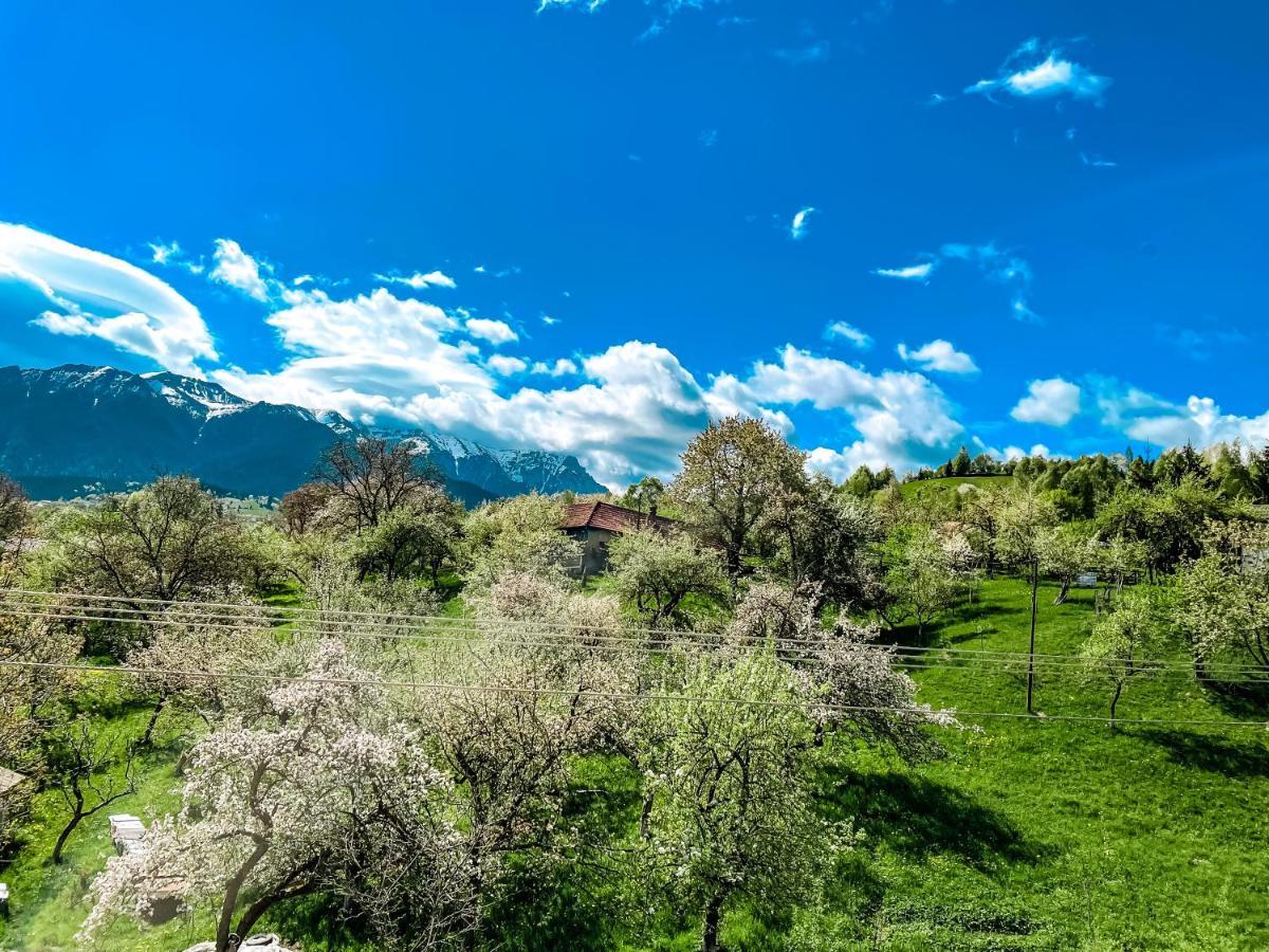 בראן Transylvania Mountain View Cdi מראה חיצוני תמונה