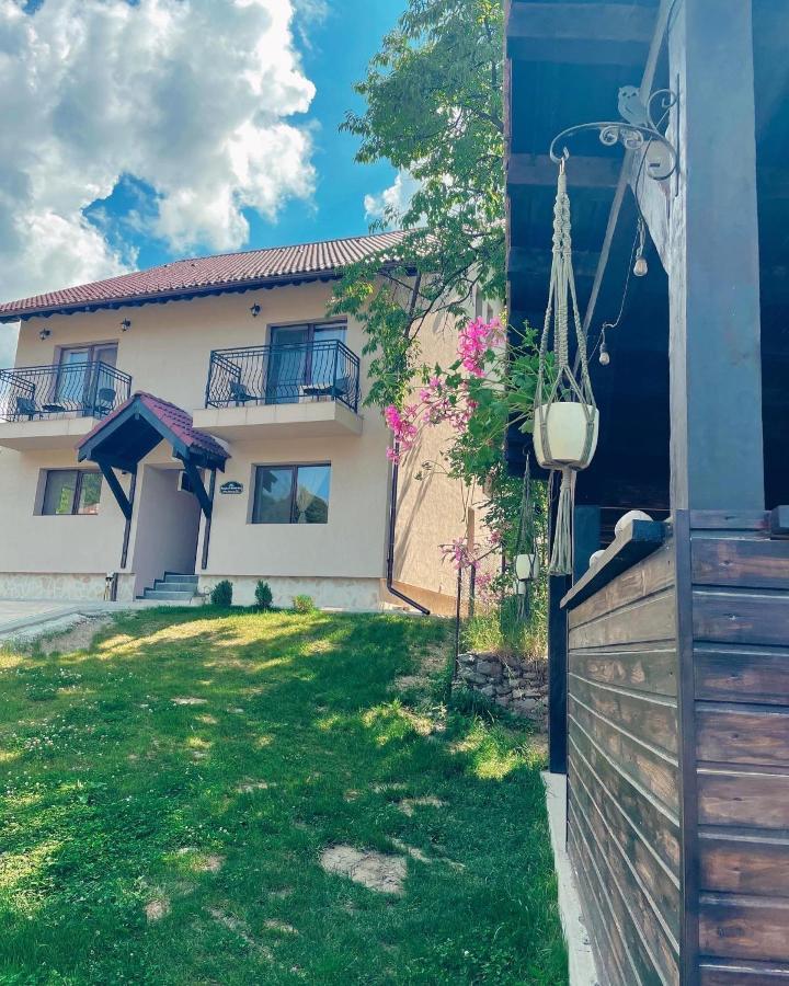 בראן Transylvania Mountain View Cdi מראה חיצוני תמונה
